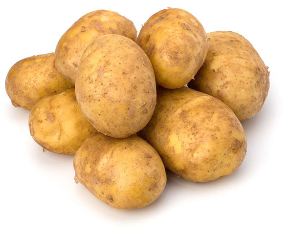 深圳土豆